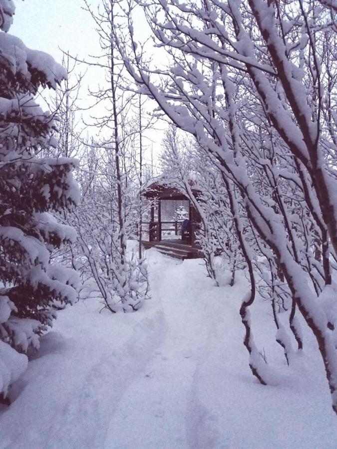 Bakkakot 1 - Cozy Cabins In The Woods アークレイリ エクステリア 写真