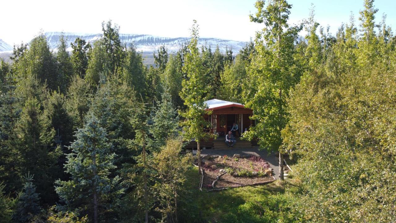 Bakkakot 1 - Cozy Cabins In The Woods アークレイリ エクステリア 写真