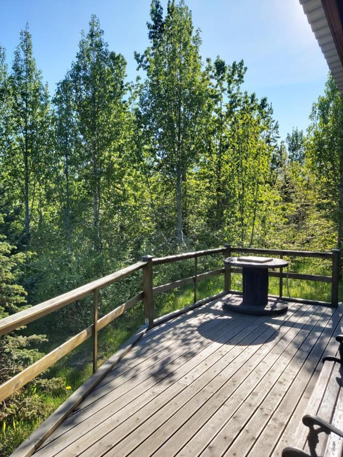 Bakkakot 1 - Cozy Cabins In The Woods アークレイリ エクステリア 写真
