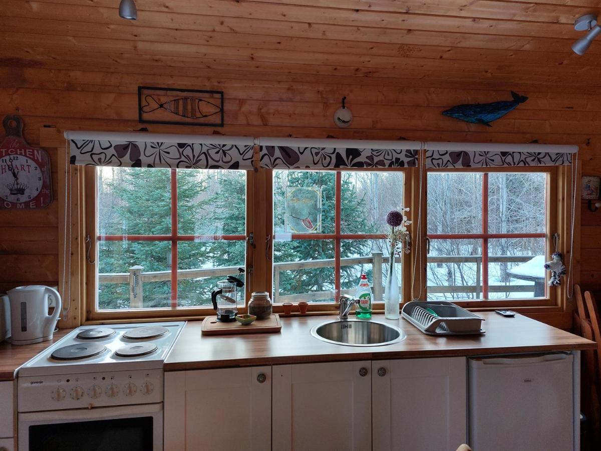 Bakkakot 1 - Cozy Cabins In The Woods アークレイリ エクステリア 写真