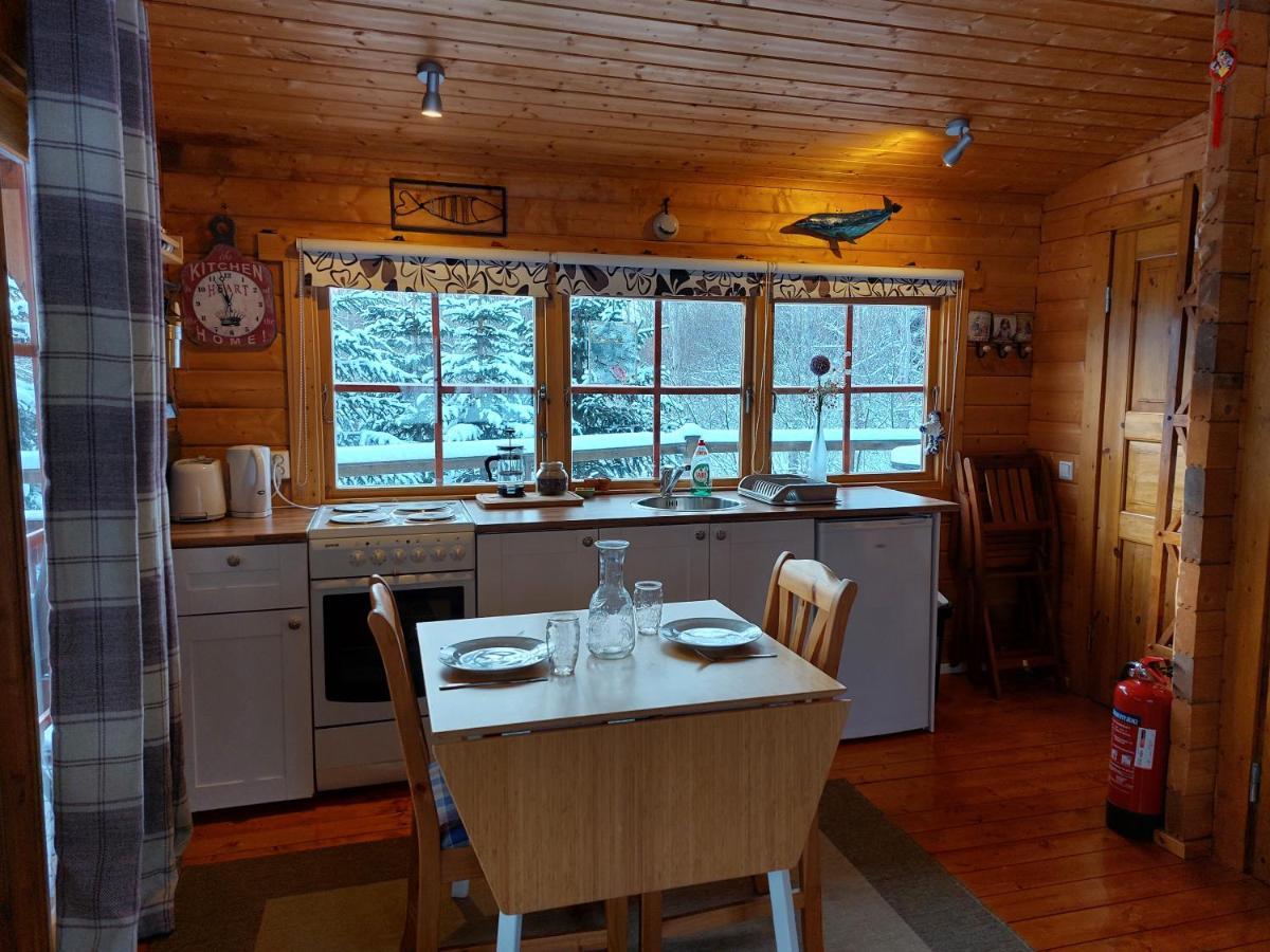 Bakkakot 1 - Cozy Cabins In The Woods アークレイリ エクステリア 写真