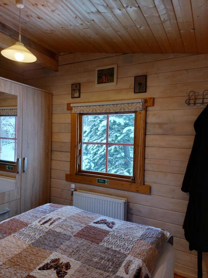 Bakkakot 1 - Cozy Cabins In The Woods アークレイリ エクステリア 写真