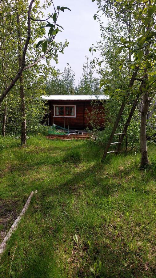 Bakkakot 1 - Cozy Cabins In The Woods アークレイリ エクステリア 写真